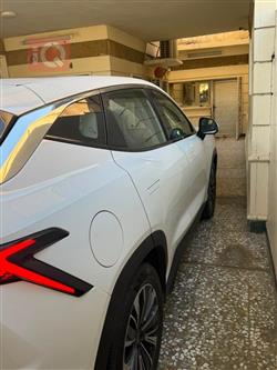 جيتور داشينج